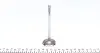 PDAE011S0D Клапан (впуск) Daewoo Lanos 1.4i-1.5i 97- (38x7x103.7) (вальцевание) PARADOWSCY AMP підбір по vin на Brocar