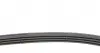 AD04R995 Ремень генератора Renault Kangoo 1.4i 97-/ Mitsubishi L 300 2.0 86-04/ Hyundai Santamo 2.0 99-02 BLUE PRINT підбір по vin на Brocar