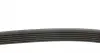 28944 Ремень генератора Citroen Berlingo/Fiat Scudo 1.9D 98-06 (6PK1437) FEBI BILSTEIN підбір по vin на Brocar