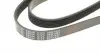 28944 Ремень генератора Citroen Berlingo/Fiat Scudo 1.9D 98-06 (6PK1437) FEBI BILSTEIN підбір по vin на Brocar
