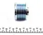 171031KIT Шкив коленвала + шкив генератора Renault Megane/Laguna 2.0 16V 02- (7PK) IJS GROUP підбір по vin на Brocar