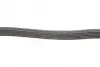 FB6EPK1059 Ремінь генератора Ford Focus 1.4/1.6i 03-/Volvo C30/S40/V50 1.6 05-12 (6PK1059) INA підбір по vin на Brocar