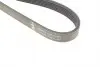 FB6EPK1059 Ремінь генератора Ford Focus 1.4/1.6i 03-/Volvo C30/S40/V50 1.6 05-12 (6PK1059) INA підбір по vin на Brocar