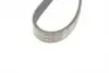 FB6EPK1059 Ремінь генератора Ford Focus 1.4/1.6i 03-/Volvo C30/S40/V50 1.6 05-12 (6PK1059) INA підбір по vin на Brocar