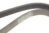 FB6EPK1059 Ремінь генератора Ford Focus 1.4/1.6i 03-/Volvo C30/S40/V50 1.6 05-12 (6PK1059) INA підбір по vin на Brocar