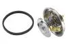 Термостат 87°C R25, R30, Trafic 2,0 -86 2,2 -94 VOLVO 260-265 4122.87D