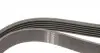 1570K6 Ремінь генератора Audi A4 1.6-2.0 00-08 (6PK1570) HUTCHINSON підбір по vin на Brocar