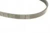 FB4EPK906 Ремінь генератора Chrysler Voyager IV 2.5/2.8CRD 00-08 (4PK906) INA підбір по vin на Brocar