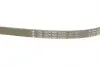 FB4EPK906 Ремінь генератора Chrysler Voyager IV 2.5/2.8CRD 00-08 (4PK906) INA підбір по vin на Brocar