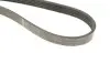 FB5PK1023 PASEK WIELOROWK. 5PK1023 INA підбір по vin на Brocar