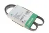 PASEK WIELOROWK. 5PK1100 FB5PK1100
