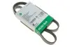 PASEK WIELOROWK. 5PK1105 FB5PK1105