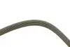 FB5PK1815 Ремень генератора BMW 5 (E39) M51 D25/Opel Omega B 2.5D/2.5TD 94-03 INA підбір по vin на Brocar