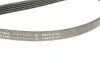 FB5PK1850 Ремінь генератора BMW 5 (E39)/7 (E38) 2.5TDS 96-04/Kia Cerato/Rio/Hyundai Accent 1.5/1.6CRDI 05- (5PK1850) INA підбір по vin на Brocar
