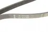FB5PK1850 Ремінь генератора BMW 5 (E39)/7 (E38) 2.5TDS 96-04/Kia Cerato/Rio/Hyundai Accent 1.5/1.6CRDI 05- (5PK1850) INA підбір по vin на Brocar