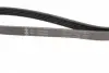 FB5PK2030 Ремень генератора BMW 3 (E46)/5 (E39) 1.8D/Land Rover 2.0 Td4 4x4 00-06 INA підбір по vin на Brocar