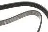 FB6EPK873 Ремінь генератора Citroen Jumper/Peugeot Boxer 2.0/2.2HDi 04- (-AC)/Opel Movano 2.5D INA підбір по vin на Brocar