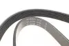 FB6PK1084 Ремень генератора VW Golf V/VI/Passat VI/VII/Tiguan/Touran 1.4TSI/FSI/1.6 FSI 03-18 (6PK1084) INA підбір по vin на Brocar