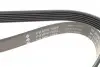 FB6PK1084 Ремень генератора VW Golf V/VI/Passat VI/VII/Tiguan/Touran 1.4TSI/FSI/1.6 FSI 03-18 (6PK1084) INA підбір по vin на Brocar