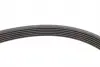 FB6PK1084 Ремень генератора VW Golf V/VI/Passat VI/VII/Tiguan/Touran 1.4TSI/FSI/1.6 FSI 03-18 (6PK1084) INA підбір по vin на Brocar