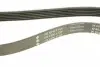 FB6PK1105 Ремінь генератора Nissan Tiida 1.8 07-12/Fiat Ducato 2.0 94-02 /Renault Espace 3.5 V6 02- INA підбір по vin на Brocar