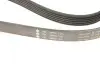 FB6PK1153 Ремінь генератора Fiat Ducato/Citroen Jumper 1.9D/TD 94-/Renault Trafic 2.5dCI 03- (6PK1153) INA підбір по vin на Brocar