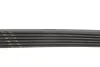 FB6PK1173 PASEK WIELOROWK. 6PK1173 INA підбір по vin на Brocar