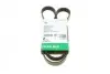 Ремень генератора Citroen Jumpy/Peugeot 3008/5008/Expert 2.0BlueHDi 16- (6PK1230) FB6PK1230