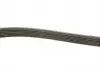FB6PK1230 Ремінь генератора Citroen Jumpy/Peugeot 3008/5008/Expert 2.0BlueHDi 16- (6PK1230) INA підбір по vin на Brocar