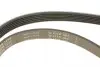 FB6PK1230 Ремінь генератора Citroen Jumpy/Peugeot 3008/5008/Expert 2.0BlueHDi 16- (6PK1230) INA підбір по vin на Brocar