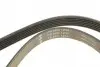FB6PK1230 Ремінь генератора Citroen Jumpy/Peugeot 3008/5008/Expert 2.0BlueHDi 16- (6PK1230) INA підбір по vin на Brocar