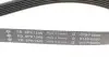 FB6PK1245 Ремень генератора Citroen Jumpy 2.0HDI 10- (6PK1245) INA підбір по vin на Brocar