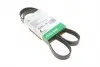 PASEK WIELOROWK. 6PK1320 FB6PK1320