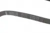 FB6PK1325 PASEK WIELOROWK. 6PK1325 INA підбір по vin на Brocar