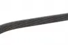 FB6PK1330 PASEK WIELOROWK. 6PK1330 INA підбір по vin на Brocar