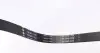 FB6PK1352 Ремень генератора VW T4/Citroen Bipper 1.4HDI/2.4D/2.5 96- INA підбір по vin на Brocar