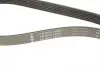 FB6PK1453 Ремень генератора Peugeot 206/Partner/Citroen Berlingo 1.1-1.6 02-/VW Fox/Polo 1.2 02-14 (6PK1453) INA підбір по vin на Brocar