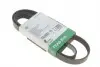 PASEK WIELOROWK. 6PK1495 FB6PK1495
