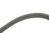 FB6PK1520 Ремінь генератора Ford Focus 1.8 TDCi 05-12/Skoda Octavia 1.4 i 99-01 (6PK1520) INA підбір по vin на Brocar