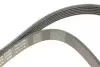 FB6PK1520 Ремінь генератора Ford Focus 1.8 TDCi 05-12/Skoda Octavia 1.4 i 99-01 (6PK1520) INA підбір по vin на Brocar