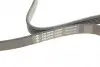 FB6PK1520 Ремінь генератора Ford Focus 1.8 TDCi 05-12/Skoda Octavia 1.4 i 99-01 (6PK1520) INA підбір по vin на Brocar