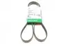Ремінь генератора поліклиновий VW Golf/BMW/Ford/Opel (6PK1540) FB6PK1540