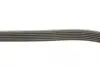 FB6PK1540 Ремень генератора VW Golf/BMW/Ford/Opel (6PK1540) INA підбір по vin на Brocar