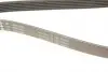 FB6PK1540 Ремень генератора VW Golf/BMW/Ford/Opel (6PK1540) INA підбір по vin на Brocar