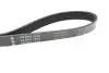 FB6PK1548 Ремінь генератора Skoda Octavia 1.4/1.6 96-10/BMW 5 (E60)/7 (E65/E66/E67)/X5 (E53) 4.4/4.8 01-09 INA підбір по vin на Brocar