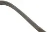 FB6PK1605 Ремінь генератора Opel Astra 1.7CDTi 03-/Renault Megane/Laguna 1.9-3.0 97-03/BMW 1 (E81/E87) 04-11 INA підбір по vin на Brocar