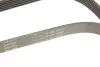 FB6PK1605 Ремінь генератора Opel Astra 1.7CDTi 03-/Renault Megane/Laguna 1.9-3.0 97-03/BMW 1 (E81/E87) 04-11 INA підбір по vin на Brocar