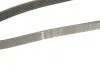 FB6PK1605 Ремінь генератора Opel Astra 1.7CDTi 03-/Renault Megane/Laguna 1.9-3.0 97-03/BMW 1 (E81/E87) 04-11 INA підбір по vin на Brocar