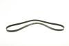FB6PK1653 Ремень генератора Ford Escort 1.4-1.8 92-00/Renault Laguna 1.8 93-01/VW Golf II/Passat B3/B4 88-97 INA підбір по vin на Brocar