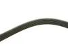 FB6PK1653 Ремінь генератора Ford Escort 1.4-1.8 92-00/Renault Laguna 1.8 93-01/VW Golf II/Passat B3/B4 88-97 INA підбір по vin на Brocar